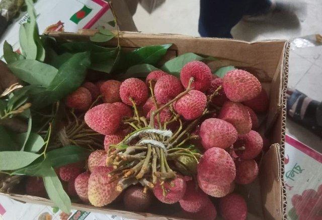 Fresh Mangoes Himsagar Langra
