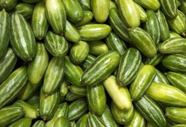 Fresh Pointed Gourd Potol