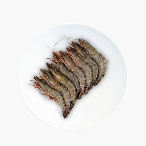 Black Tiger Shrimp Head On Shell On (10-12pcs) 500g Block (Export Quality)