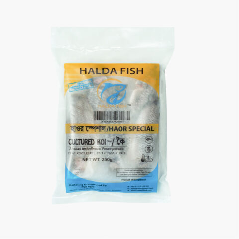 Halda-Haor Cultured Koi Fish Block (Ready to Cook) 250g