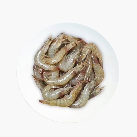 Harina Shrimp Peeled & Deveined Block (20-25pcs)-(Export Quality-IQF)-500gm