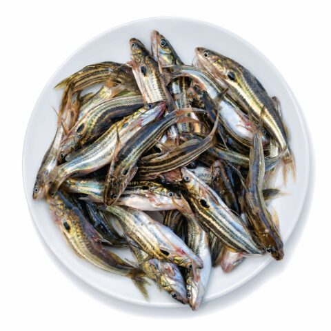 Hawor Tengra Fish Block (Processed & Clean) 500g